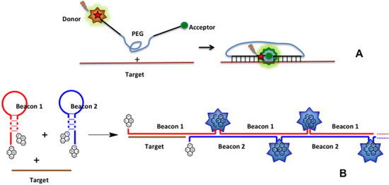 Molecules 18 15357 g014 550