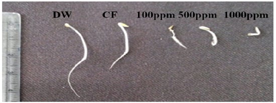 Molecules 18 15519 g002 550