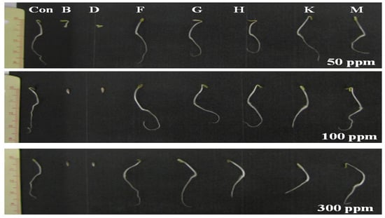 Molecules 18 15519 g004 550