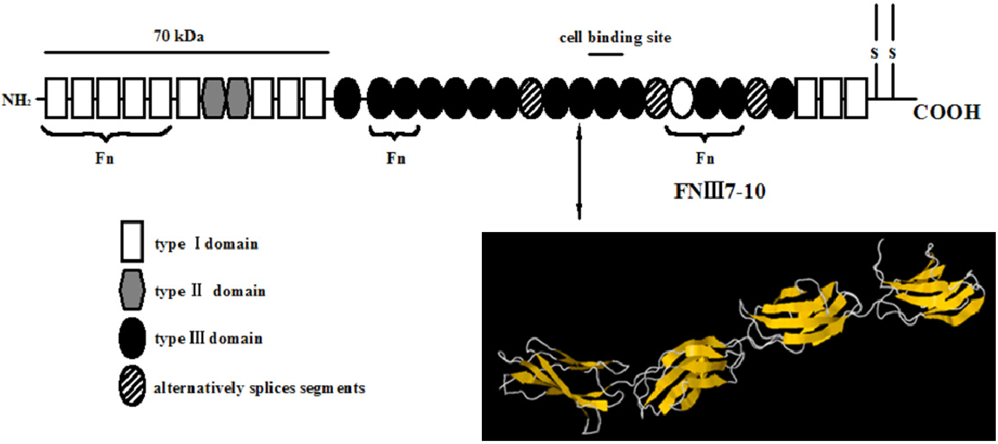 Molecules 19 00149 g006
