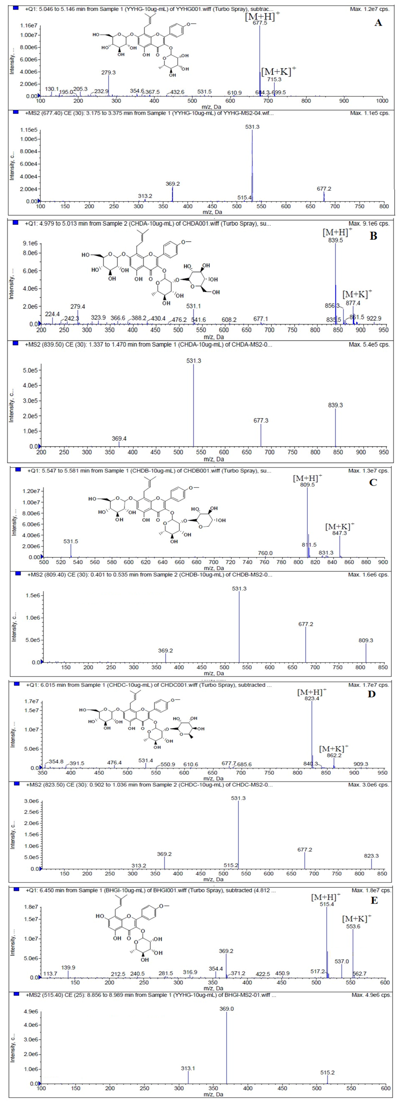 Molecules 19 00177 g005