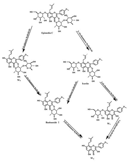 Molecules 19 00177 g014 550