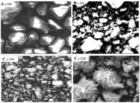 Molecules 19 00247 g002 550