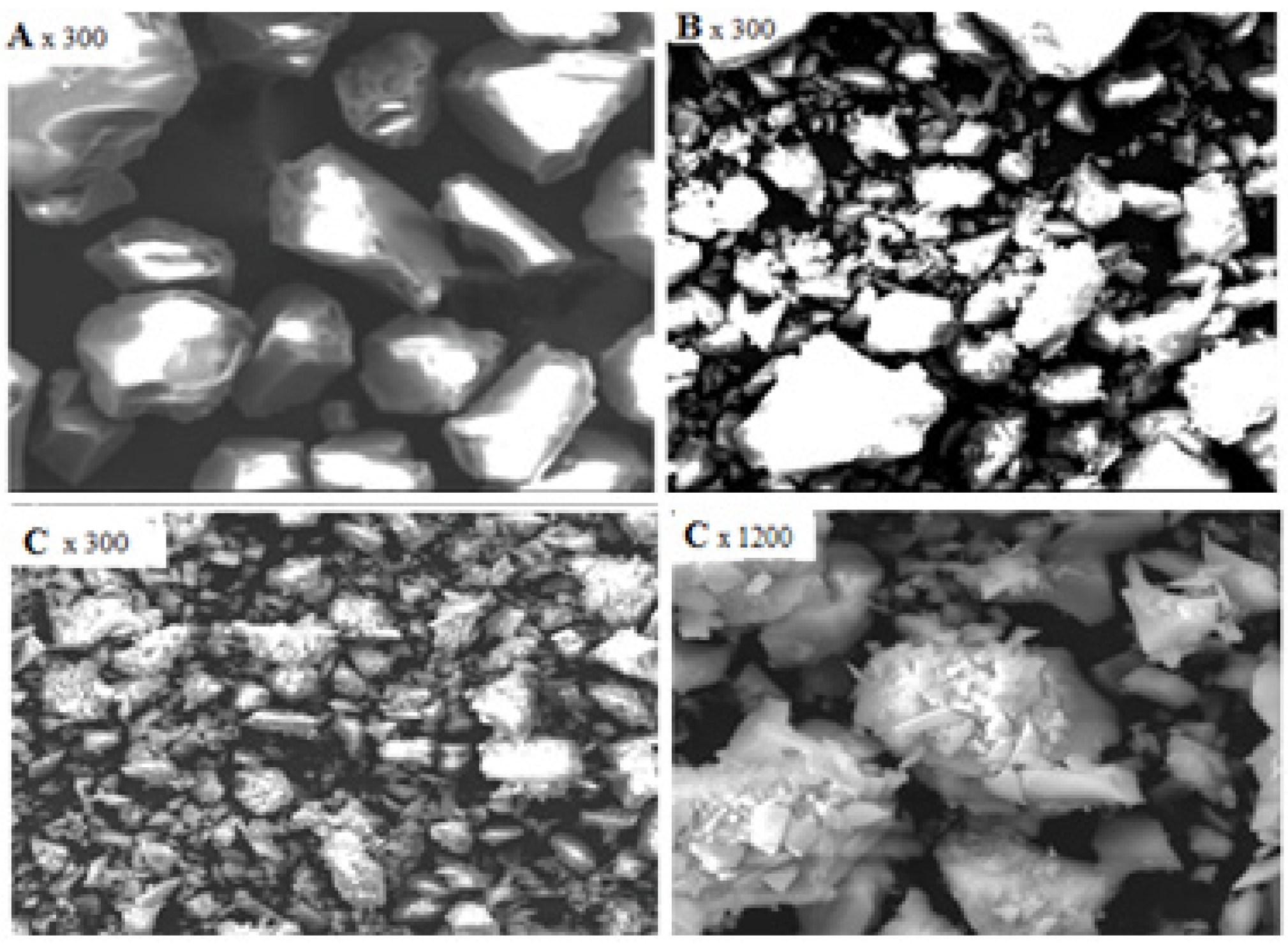 Molecules 19 00247 g002
