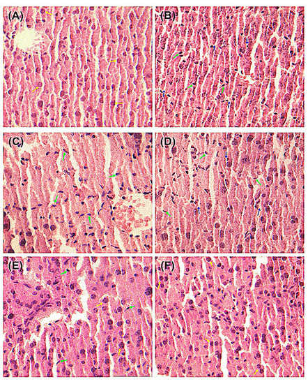 Molecules 19 00291 g003 550