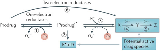 Molecules 19 00400 g001 550