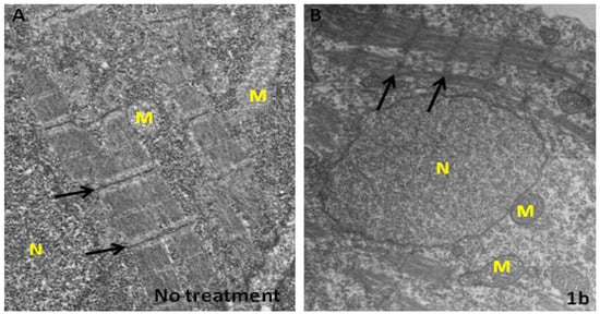 Molecules 19 00641 g005 550