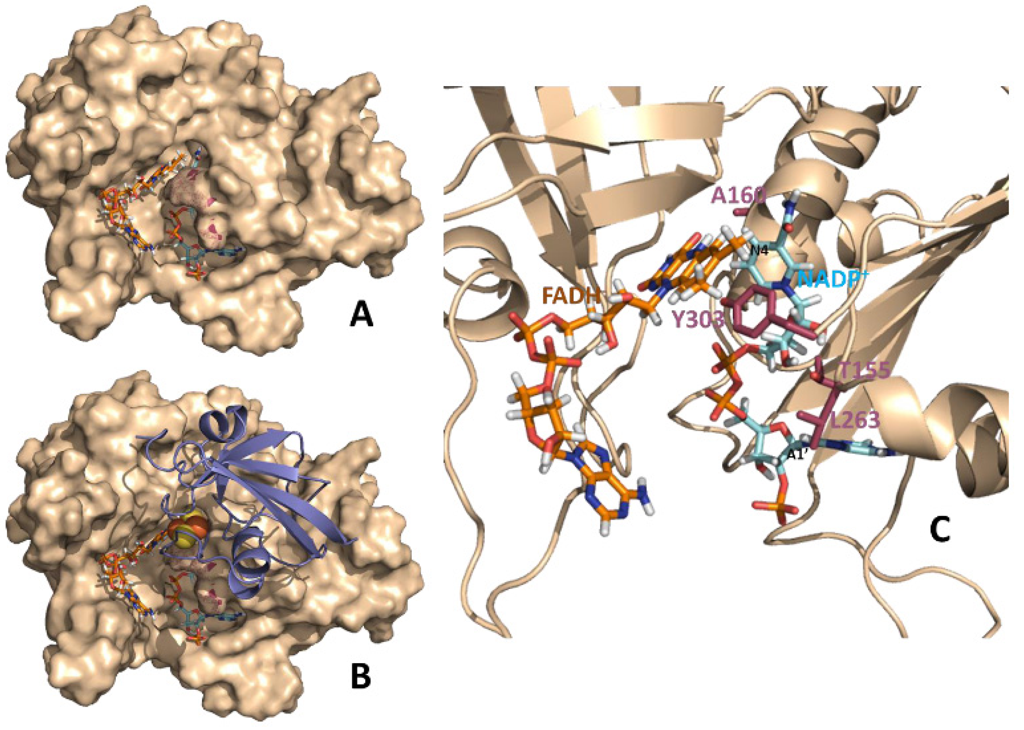 Molecules 19 00672 g001