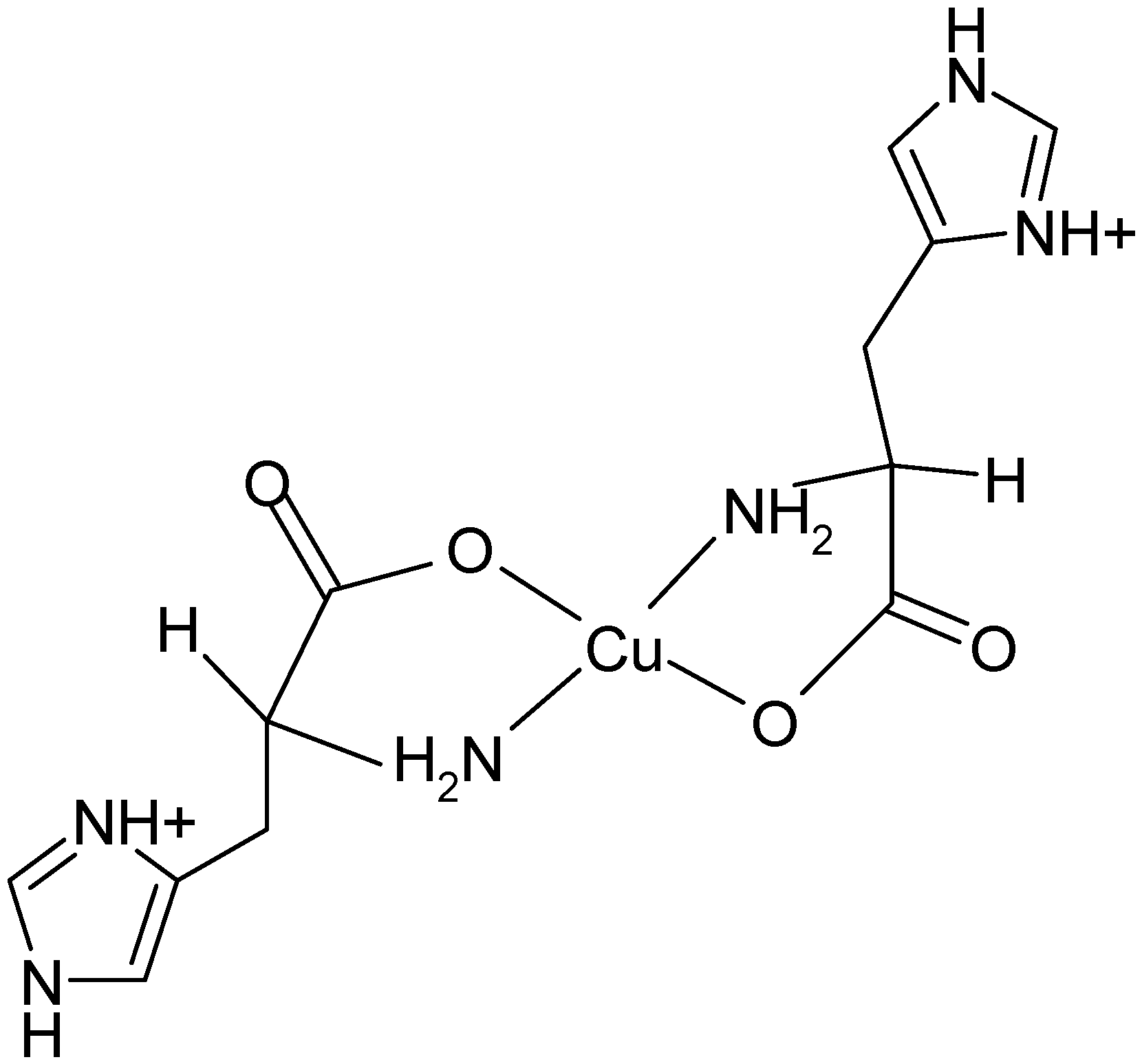 Molecules 19 00980 g003
