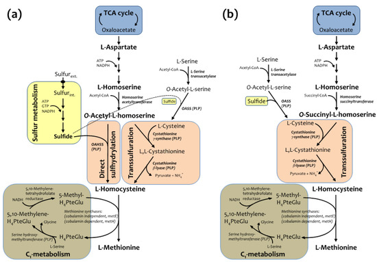 Molecules 19 01004 g001 550