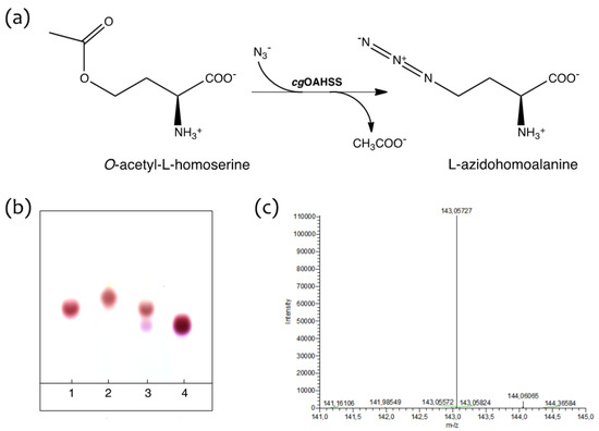 Molecules 19 01004 g002 550