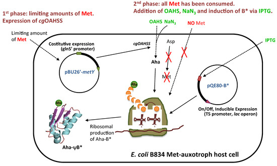 Molecules 19 01004 g003 550