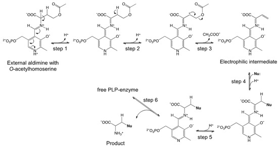 Molecules 19 01004 g007 550