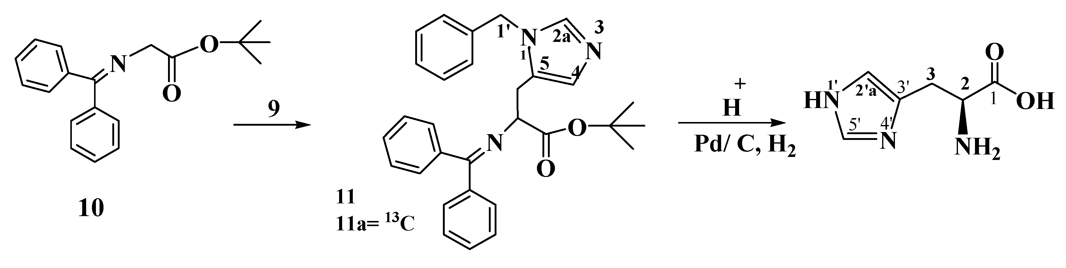 Molecules 19 01023 g002