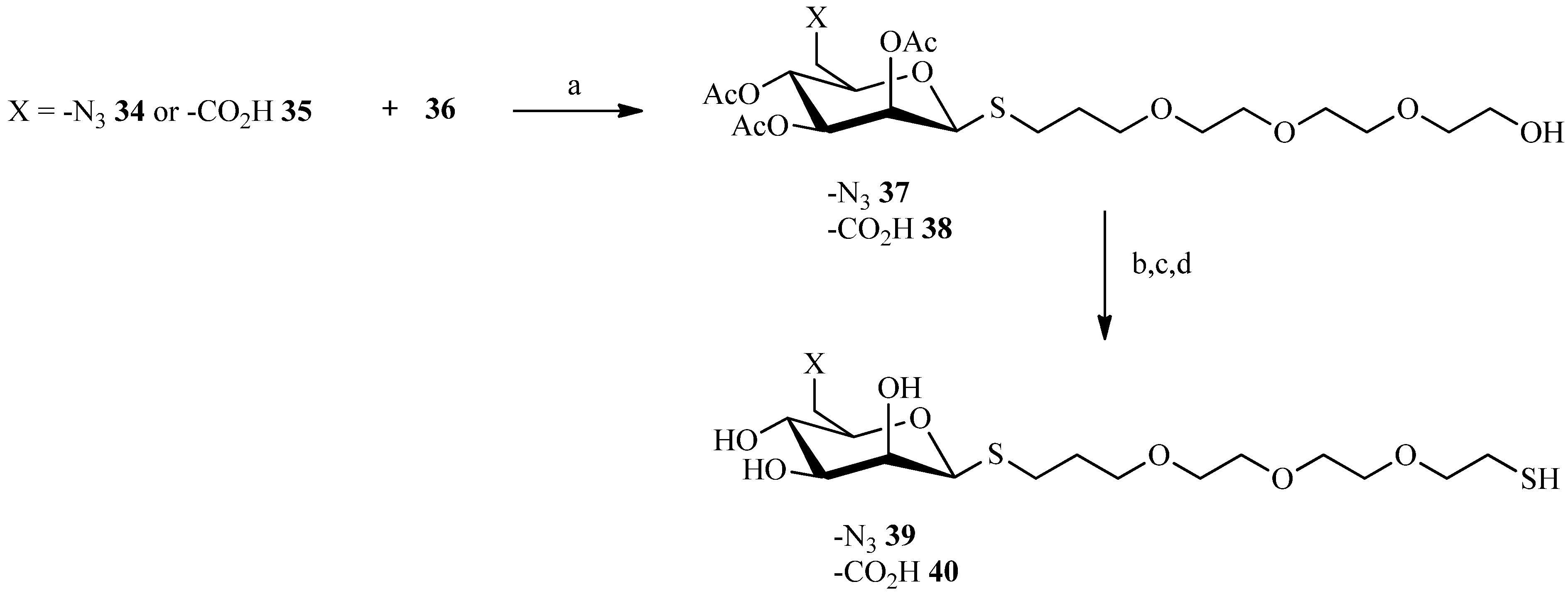 Molecules 19 01120 g011