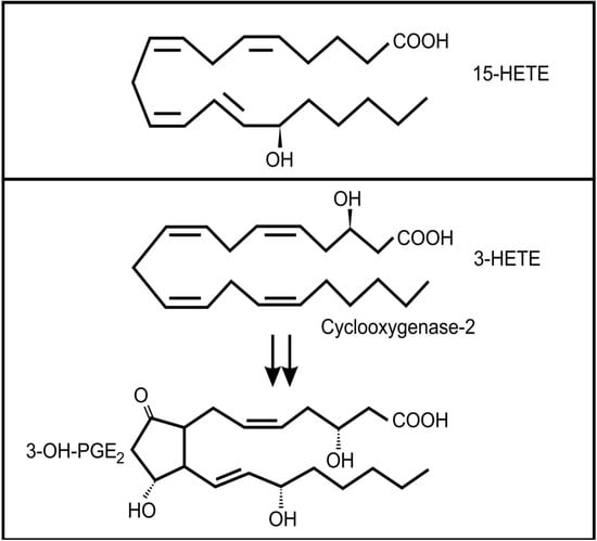 Molecules 19 01273 g004 550