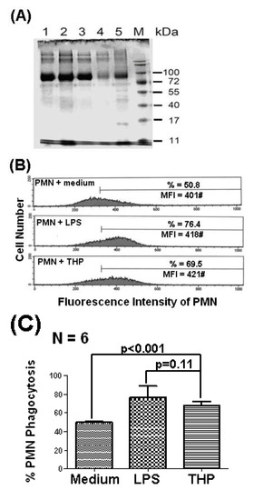 Molecules 19 01328 g001 550