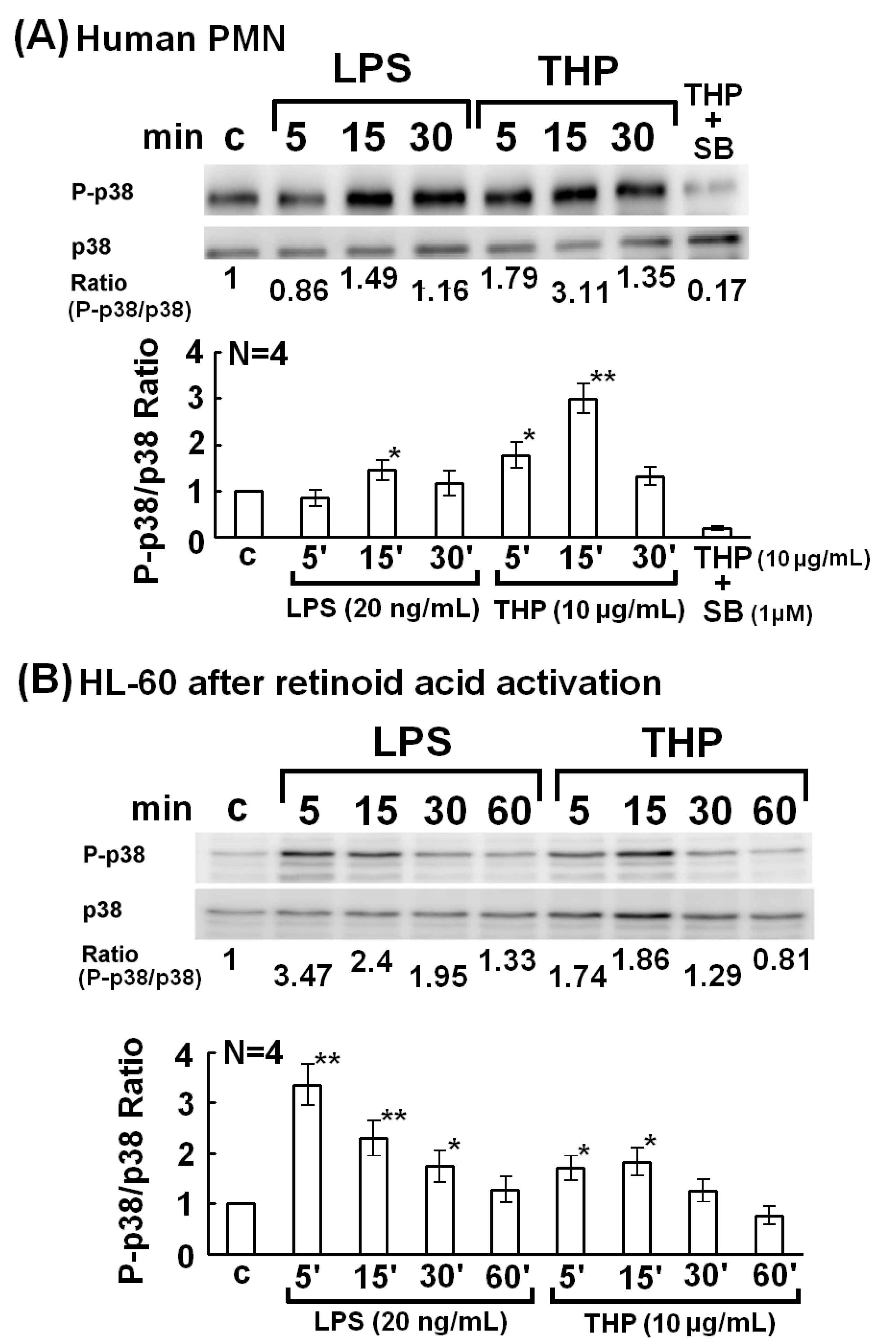 Molecules 19 01328 g003