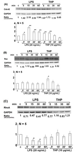Molecules 19 01328 g005 550