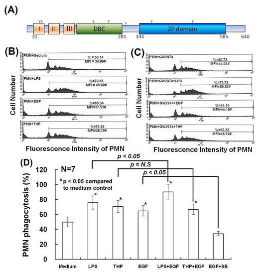 Molecules 19 01328 g006 550