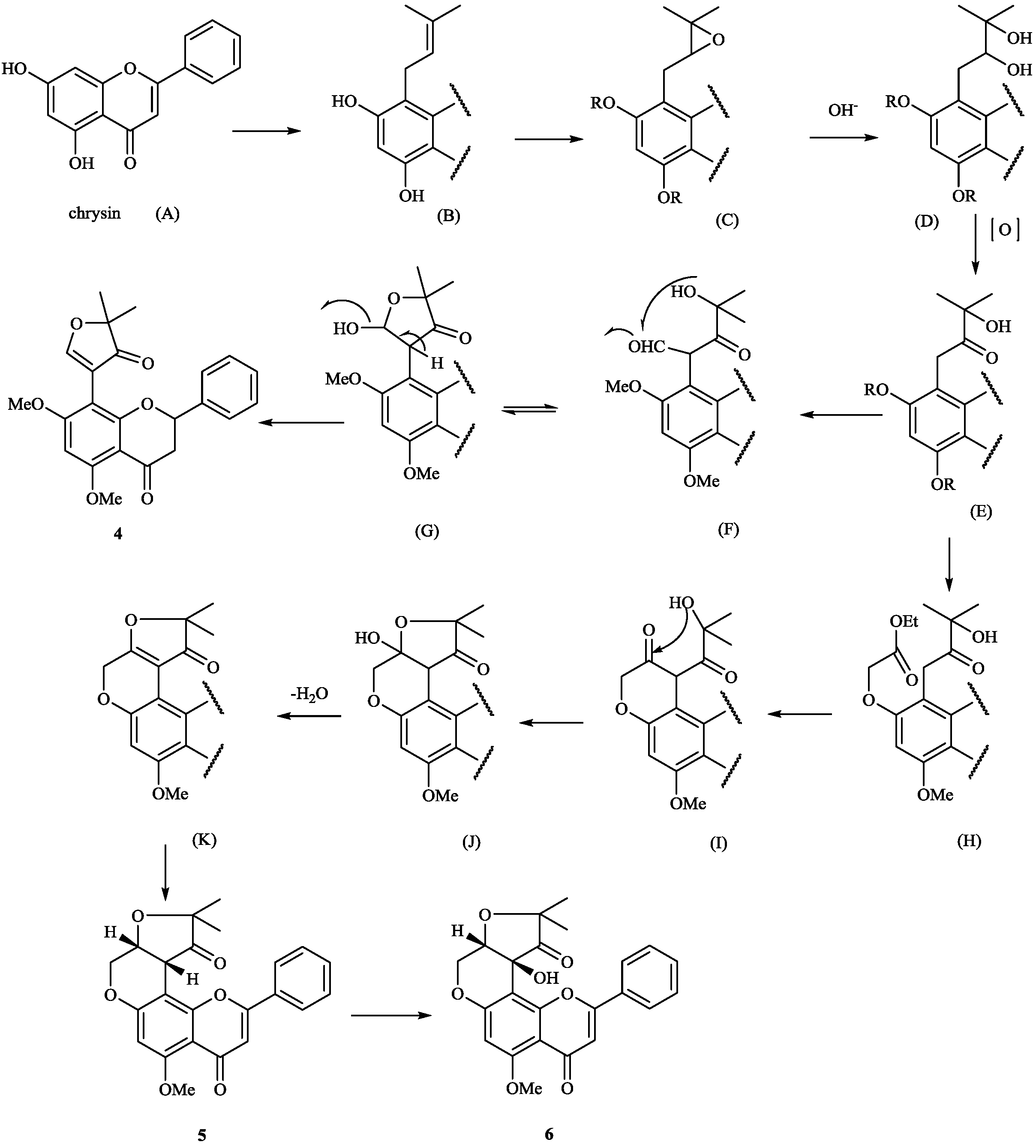 Molecules 19 01432 g011