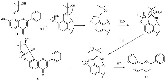 Molecules 19 01432 g012 550