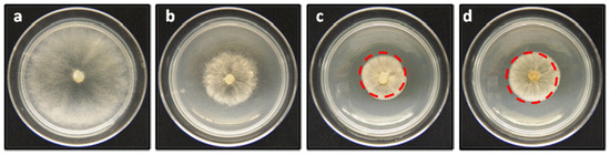 Molecules 19 01512 g006 550