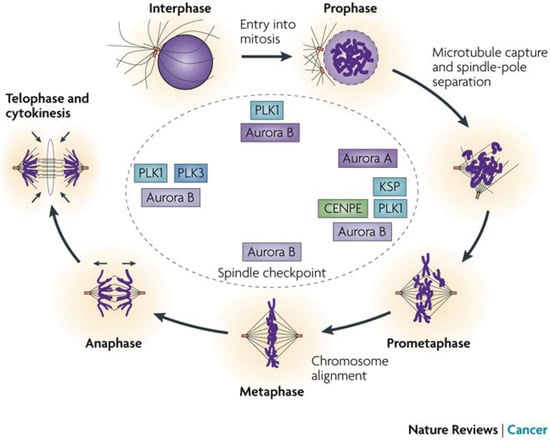 Molecules 19 01544 g007 550