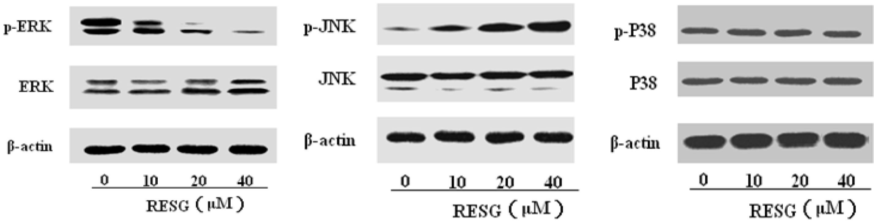 Molecules 19 01592 g005
