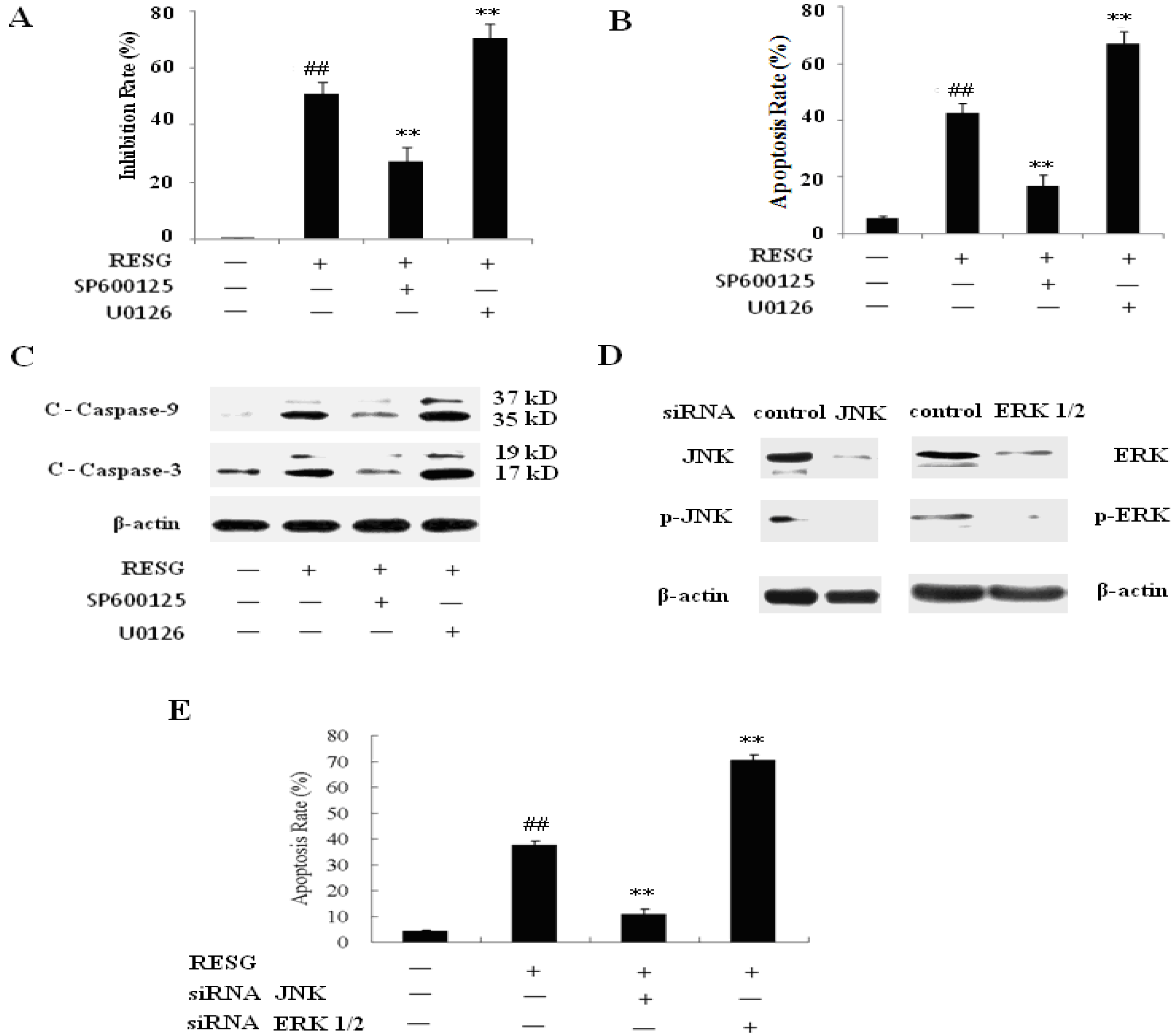 Molecules 19 01592 g006