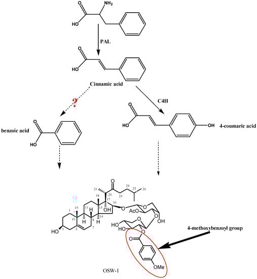 Molecules 19 01608 g001 550