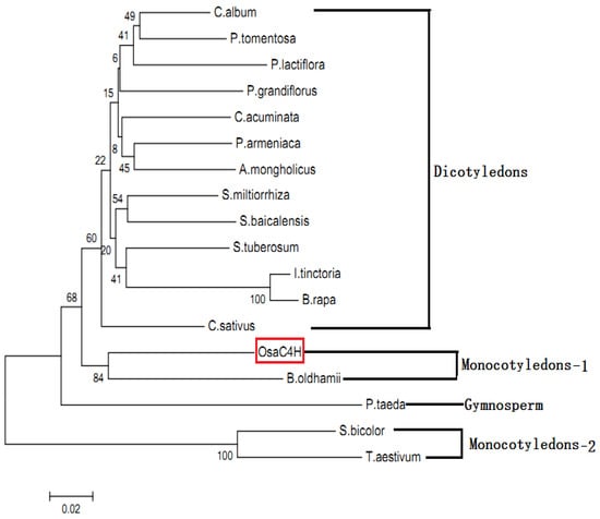 Molecules 19 01608 g004 550