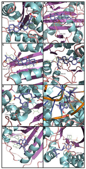 Molecules 19 01672 g002 550