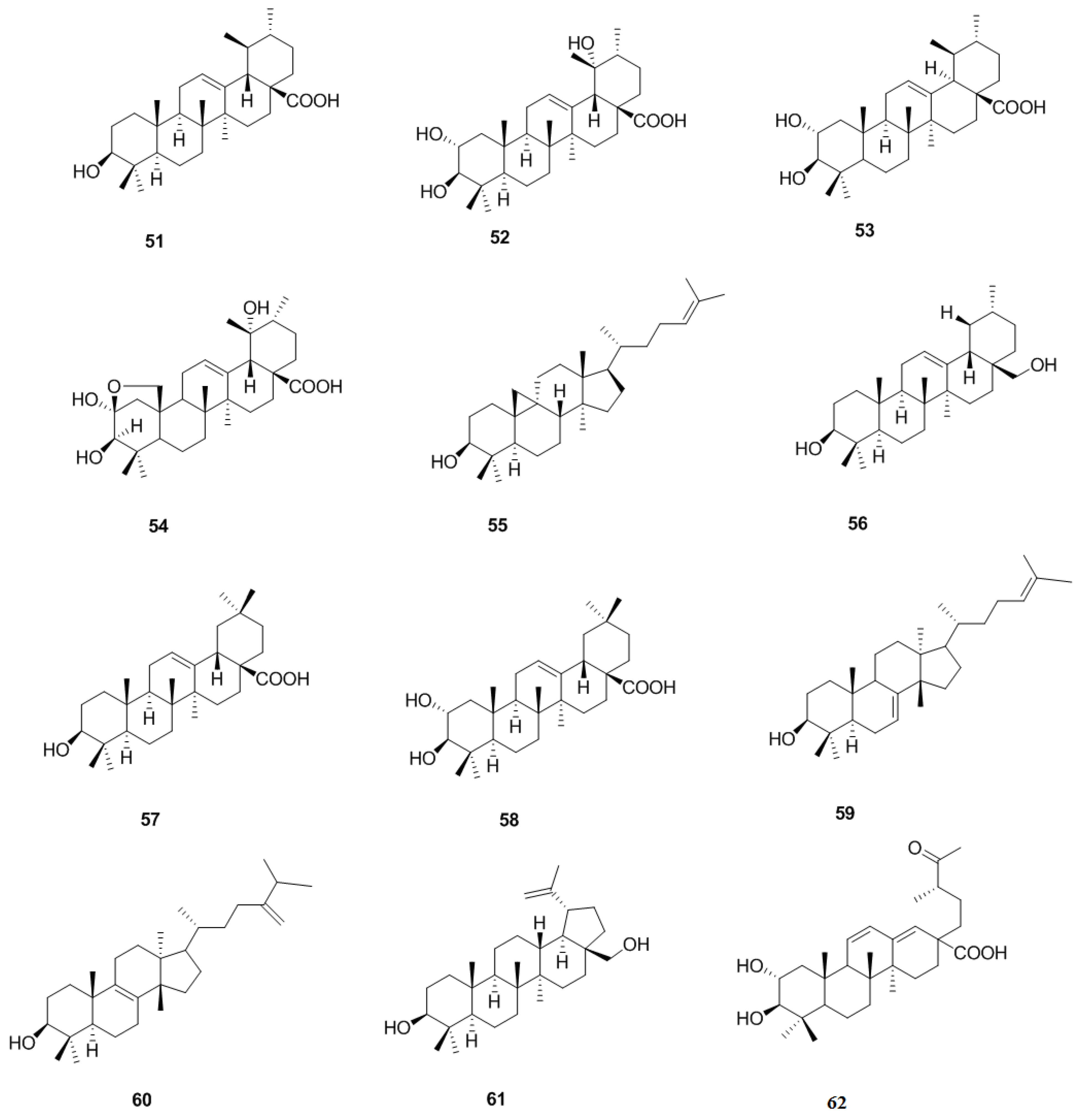 Molecules 19 01685 g005