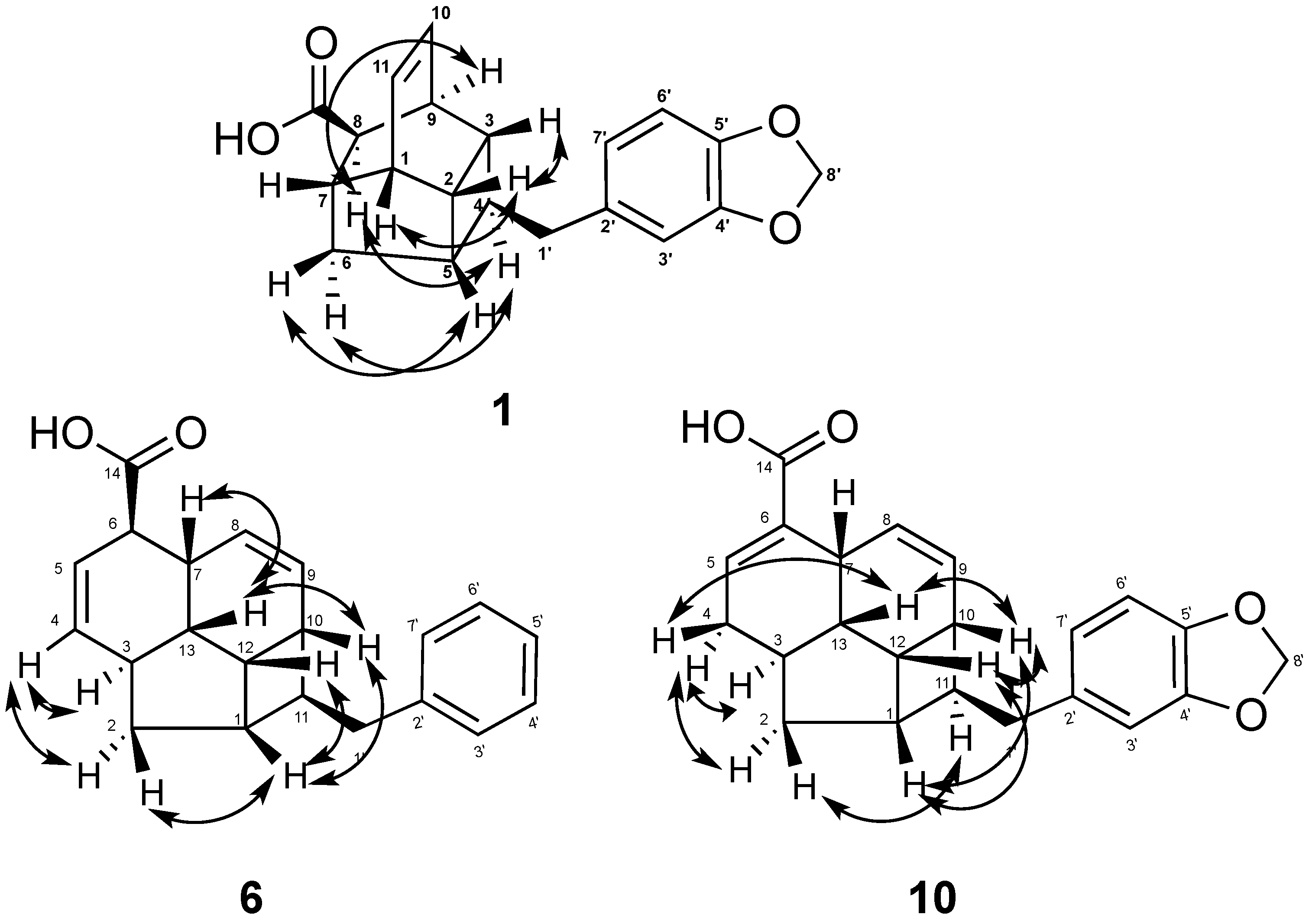 Molecules 19 01732 g003