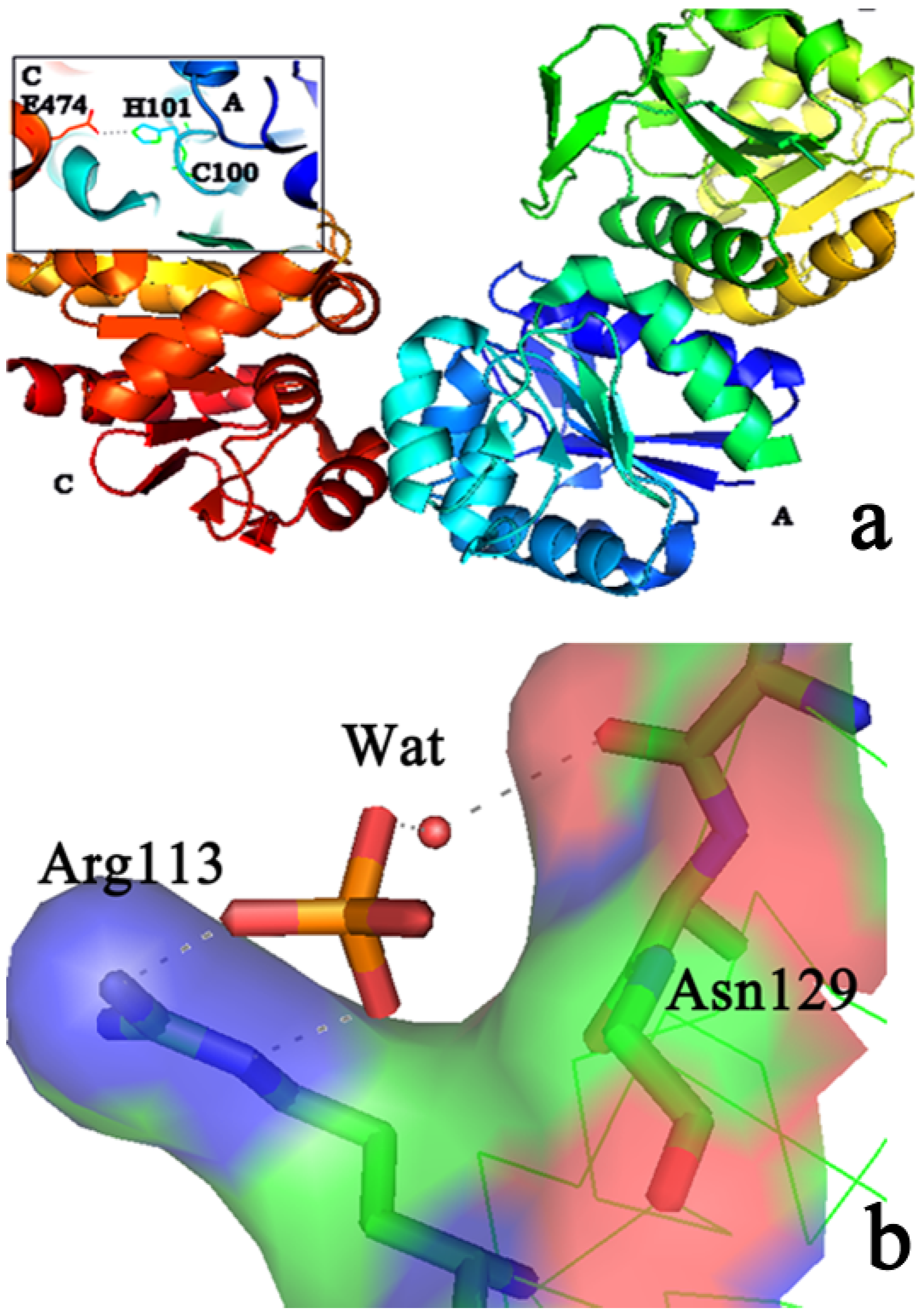 Molecules 19 01828 g001