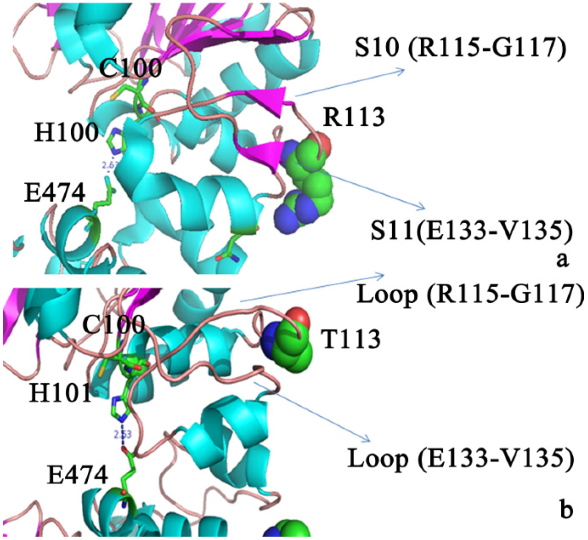 Molecules 19 01828 g007