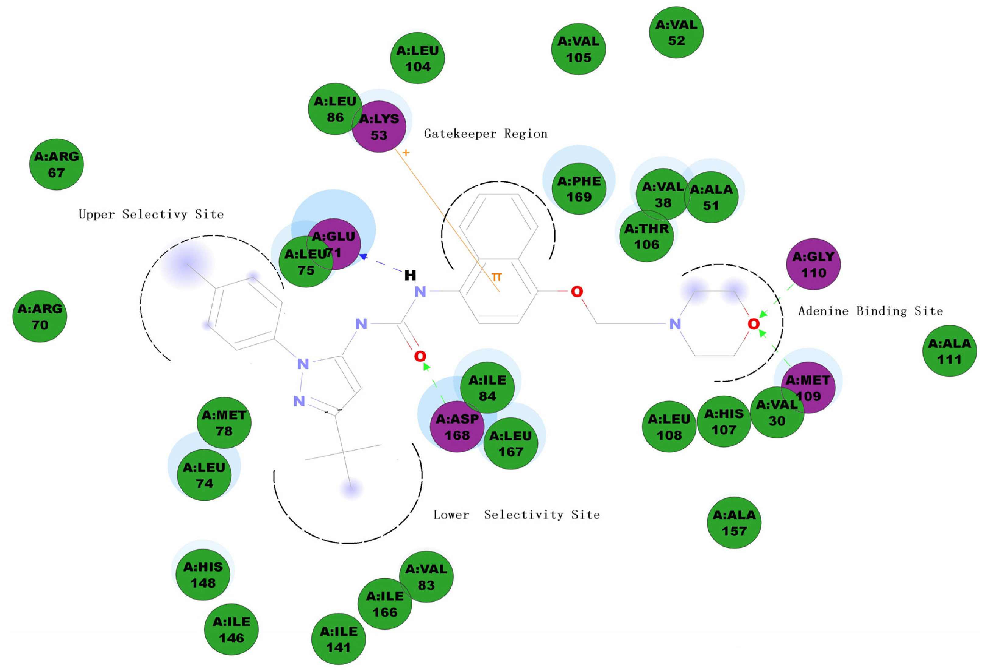 Molecules 19 02004 g001