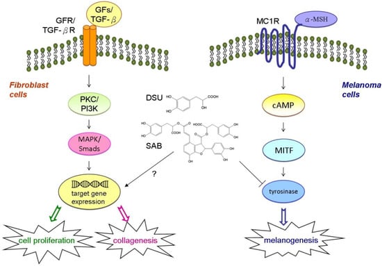 Molecules 19 02029 g008 550