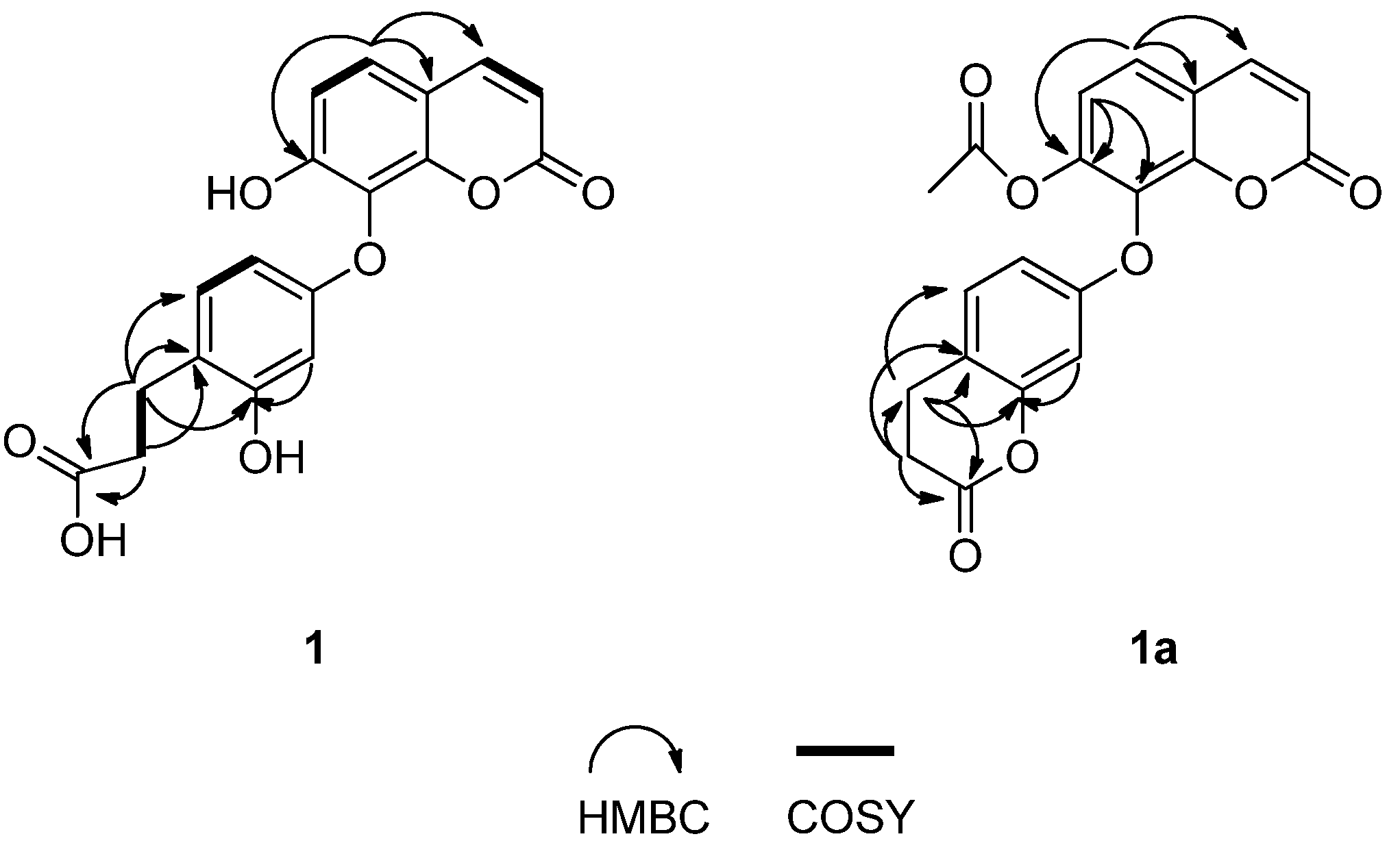 Molecules 19 02042 g002