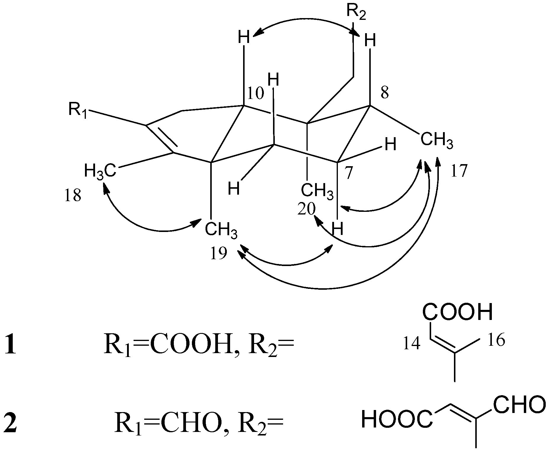 Molecules 19 02049 g003