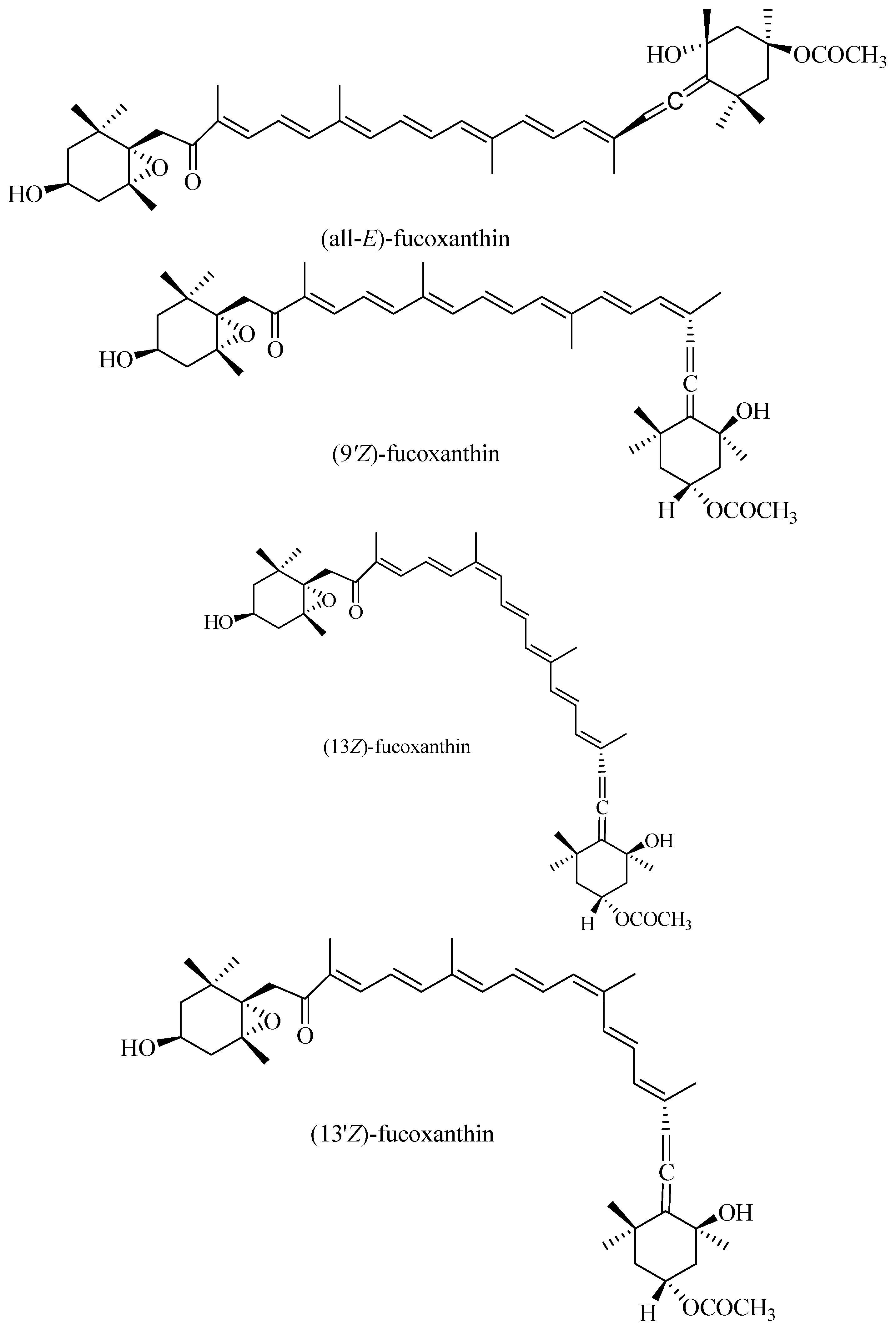 Molecules 19 02100 g001