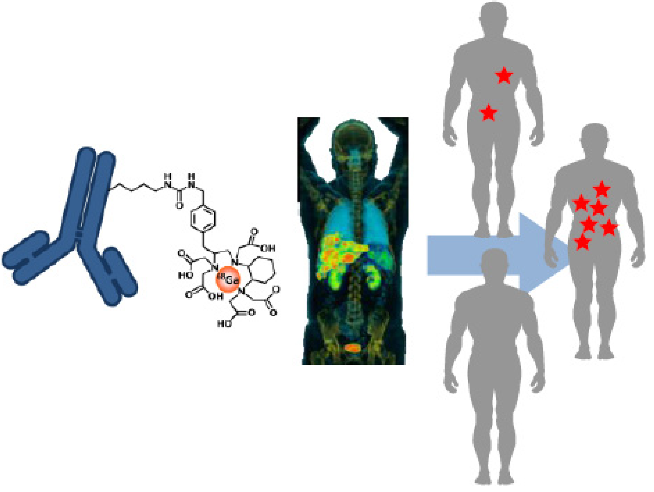 Molecules 19 02135 g001