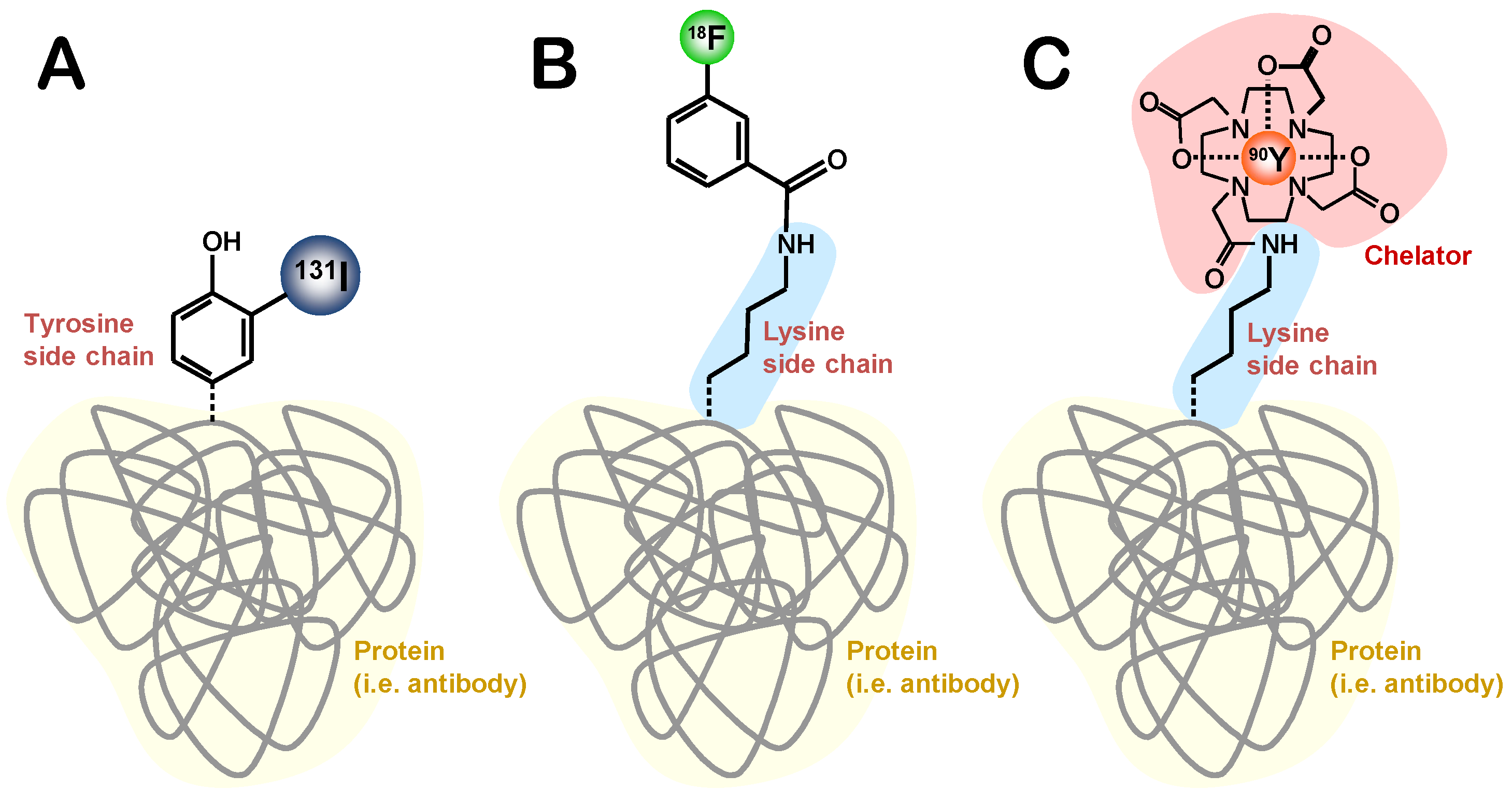 Molecules 19 02135 g002