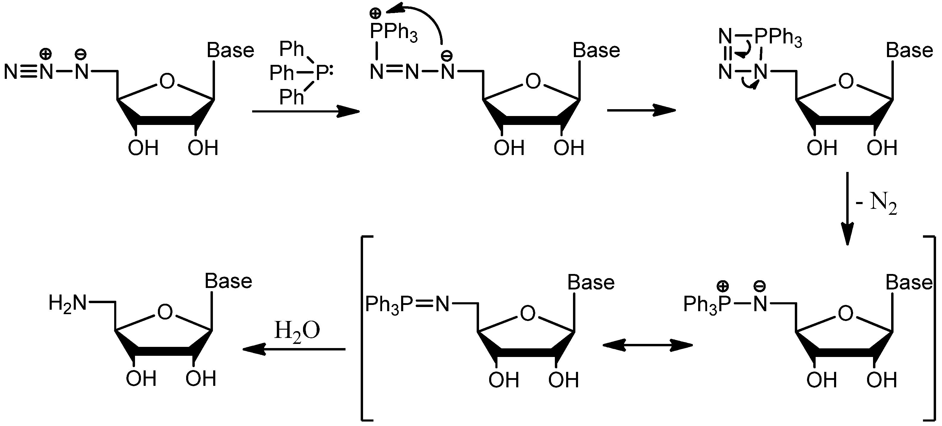 Molecules 19 02434 g005