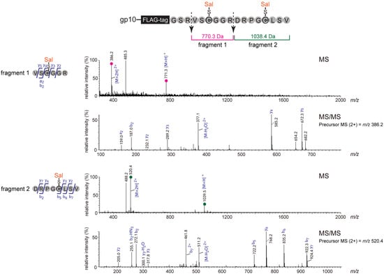 Molecules 19 02481 g004 550