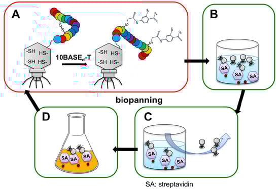 Molecules 19 02481 g005 550