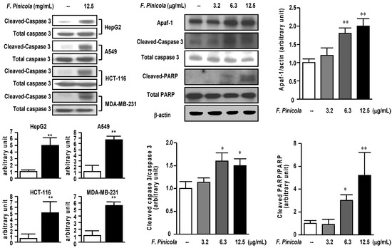 Molecules 19 02546 g003 550