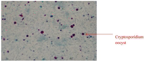 Molecules 19 02674 g001 550