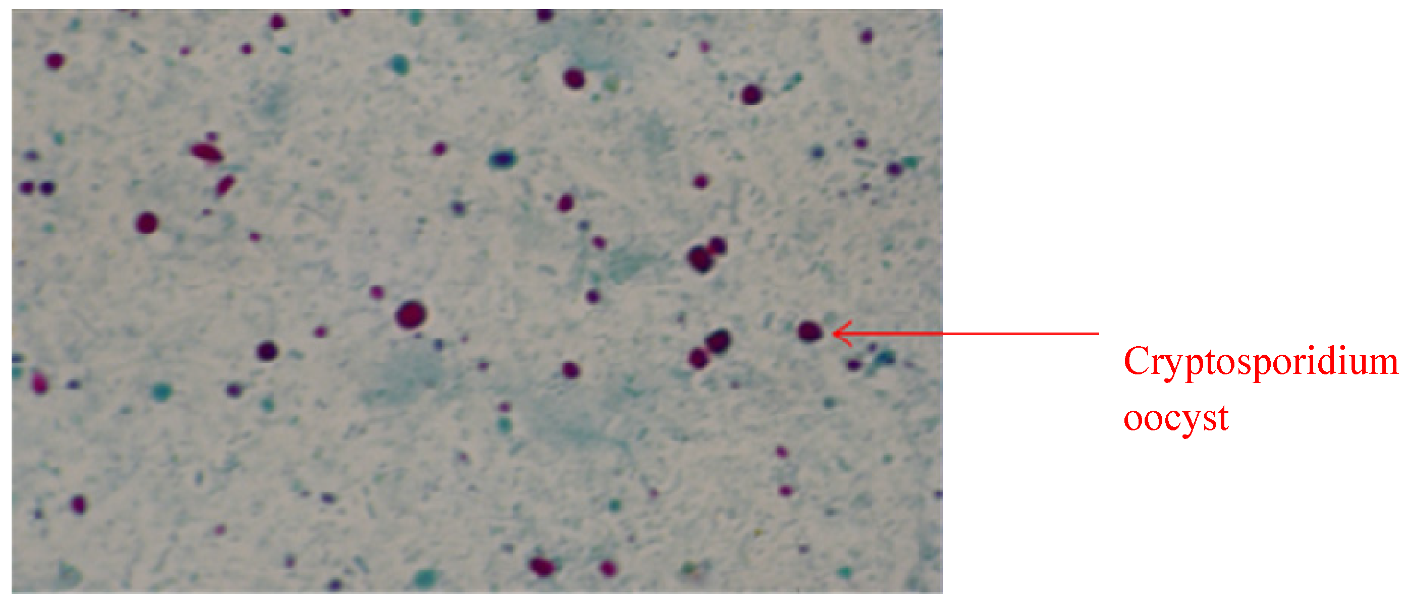 Molecules 19 02674 g001